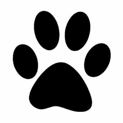 Dog paw print stickers asstd - ,
