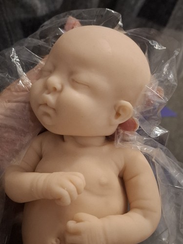 Eden reborn nursery - eden,
