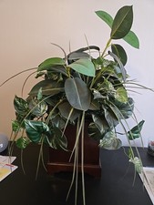 BOMBAY PLANTER WITH WOODEN BOX