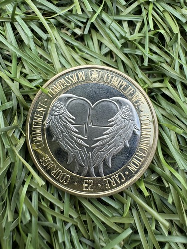 Florence nightingale 2020 - £2,