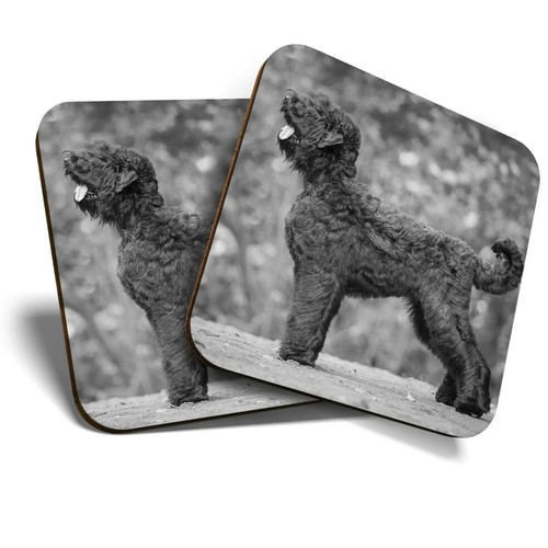Coasters black - 2,