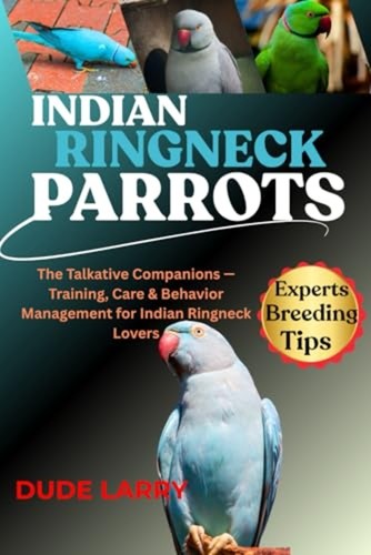 Indian ringneck parrot the - ringneck,
