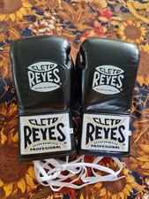 Cleto Reyes Safetec Pro fight