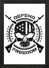 Defend Freedom USA Skull