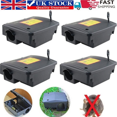 Pest expert rat poison - rat, bait