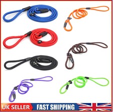 Puppy Dog Training Slip Rope Dog Lead Strong Nylon Training Walking Leash 6-10mm