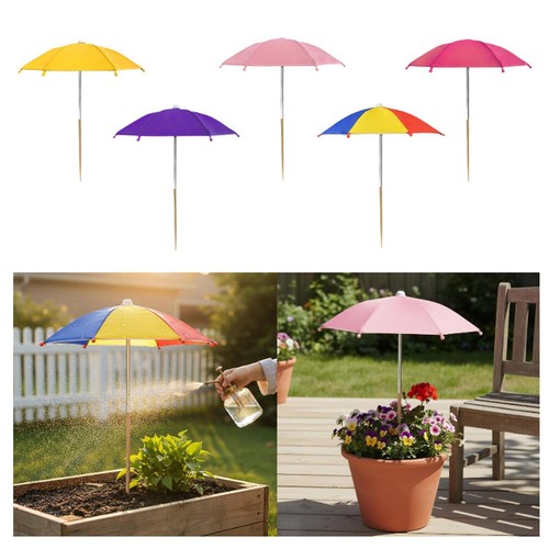Plant umbrella sturdy - umbrella, garden