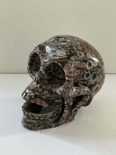 Crinoid fossil hand - 3”,