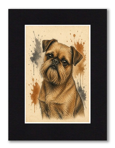 Brussels griffon dog - brussels,