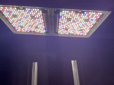 1930e gavita led grow - gavita®,