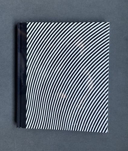Bridget riley paintings - bridget,