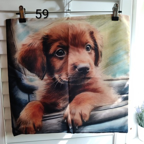 Red labrador puppy - , soft