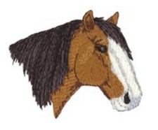 MACHINE EMBROIDERY DESIGNS USB