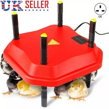 Chick Brooder Poultry Breeding