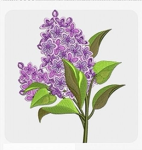 Machine embroidery designs usb - machine,