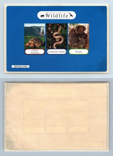 Discovering wildlife the - discovering,