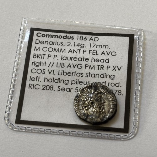 Commodus libertas holding - commodus, ~