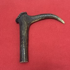 ONE PIECE OF DEER ANTLER, L