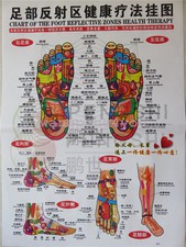 Chart Of The Foot Reflective