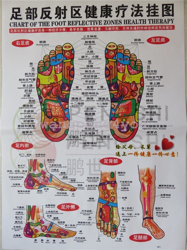 Chart the foot reflective - the,