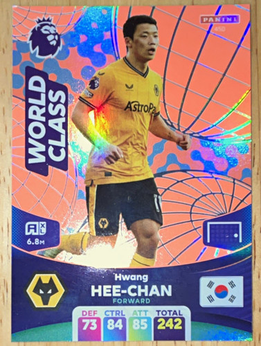 Panini adrenalyn premier - panini,