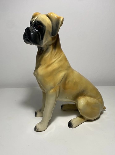 Vtg holland boxer - vtg, dog