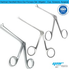 Hartman-Herzfled Crocodile