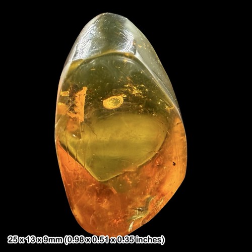 Rare mexican amber - mexican,