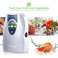220V 110V Ozone Generator Air