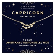 Zodiac Necklace, Capricorn