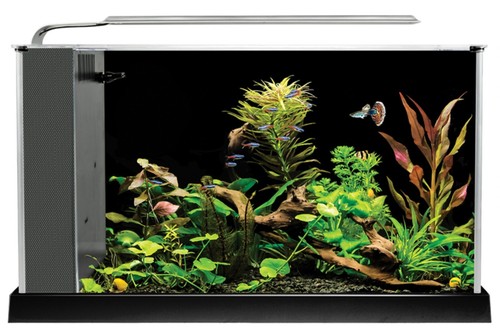 Fluval spec 19l black desktop - fluval,
