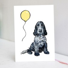 Blue Roan Cocker Spaniel