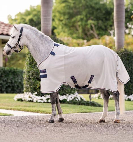 Amigo bug rug pony - amigo,