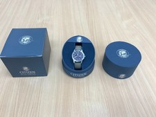 Mens Citizen Eco-Drive WR100 Watch