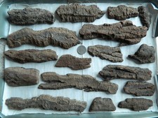 Driftwood Bark Pieces For Arts