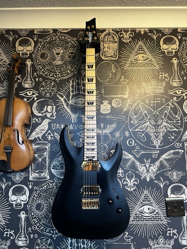 Schecter sls custom - custom, electric
