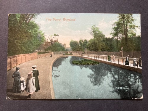 The pond watford - pond,,