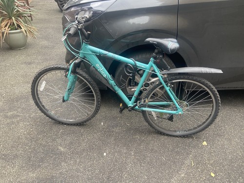 Apollo women mountain bike - mountain,