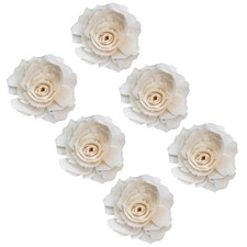 6pcs Diffusers Natural