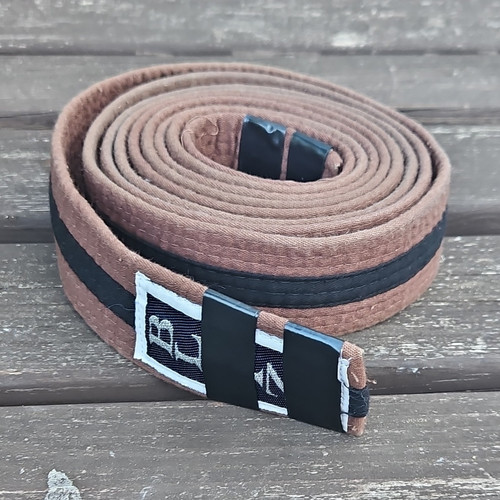 Brown martial arts belt 280cm - brown,