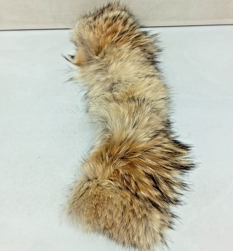 Canada goose fur trim - canada,