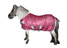 Wee & Small Pony Multi Purpose