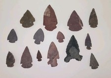 Collection of 14 Indian Arrowheads Dug in Pensacola, Florida