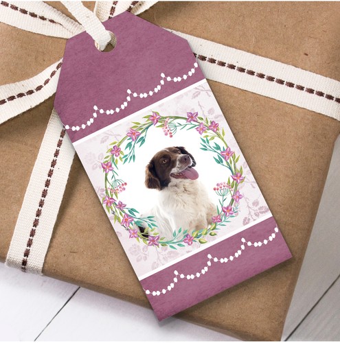 French spaniel dog pink - french,