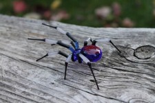 Blue Black Spider Art Glass