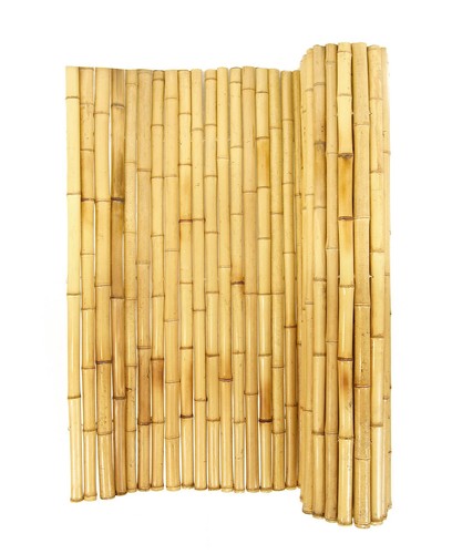 Forever bamboo natural - bamboo,