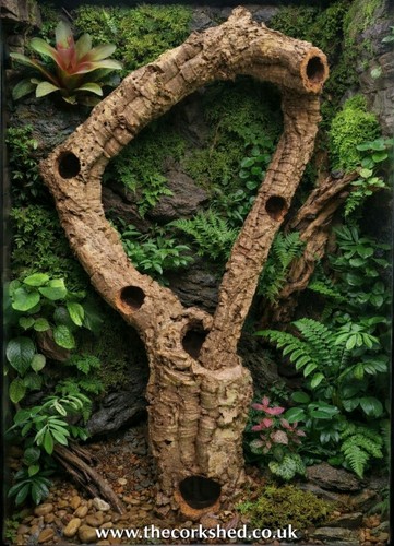 Cork bark tube - cork,