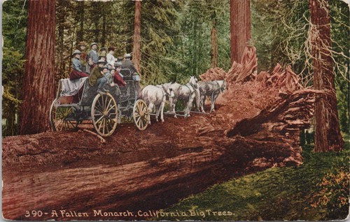 Lithograph california - lithograph,
