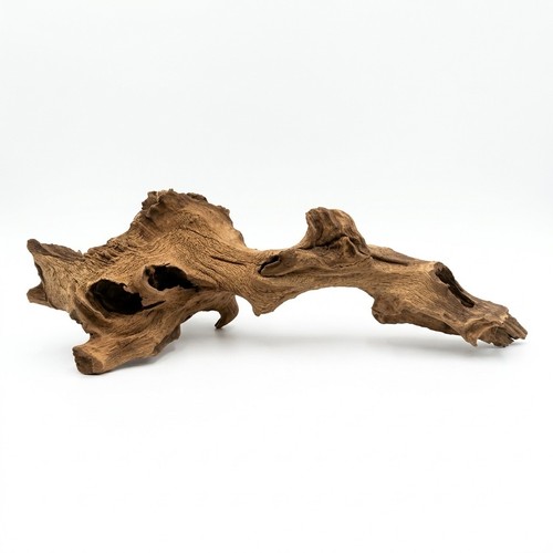 36cm natural ceylon jungle - 36cm,