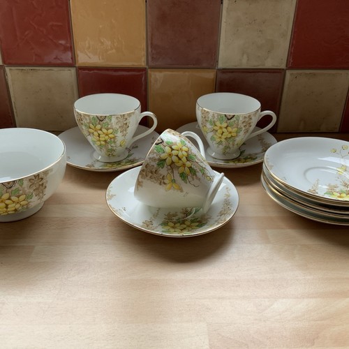 Vintage salisbury bone china - vintage,